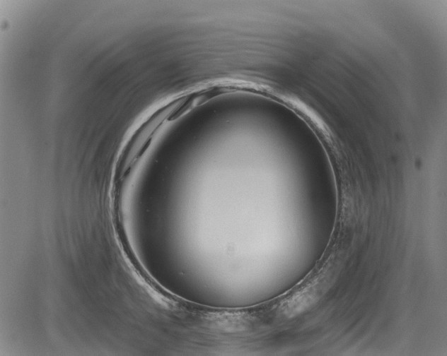 X0000084050902200702161504