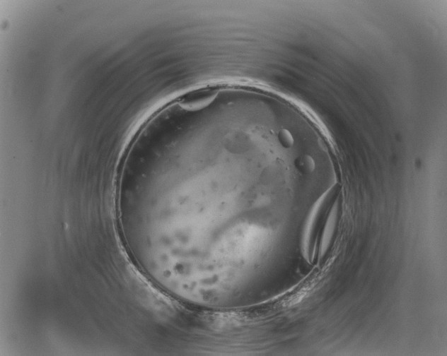 X0000084050903200702161504