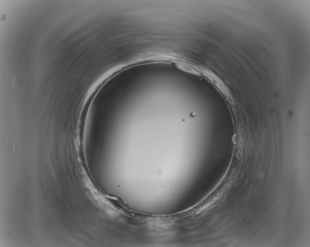 X0000084050904200702161504