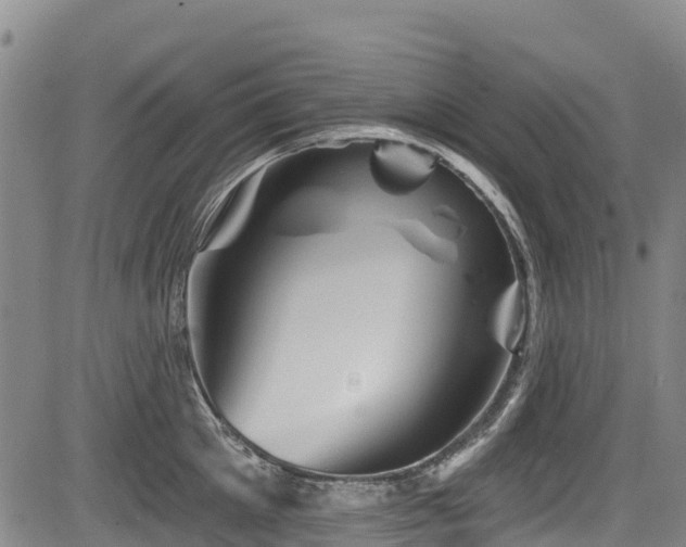 X0000084050905200702161504