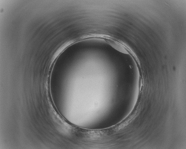 X0000084050906200702161504