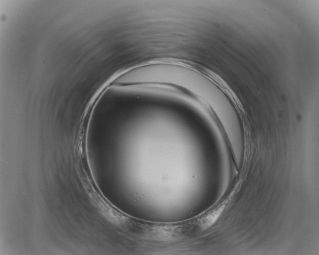 X0000084050908200702161504