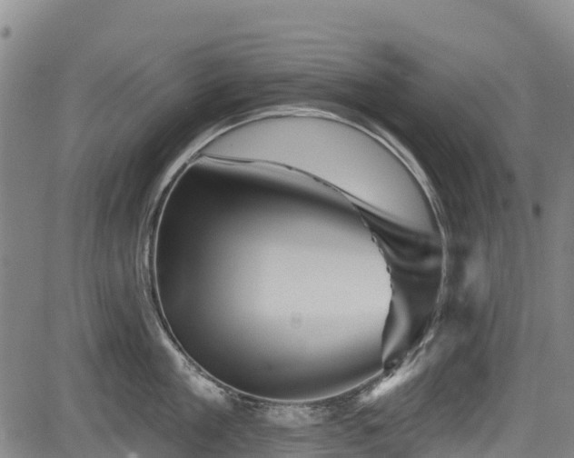 X0000084050909200702161504