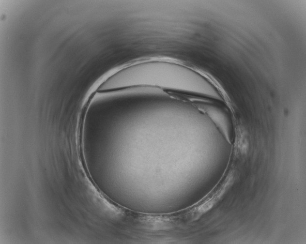 X0000084050910200702161504