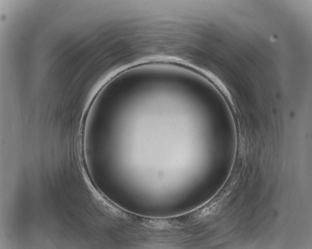 X0000084050911200702161504