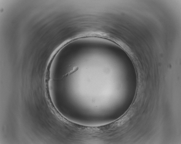 X0000084050912200702161504