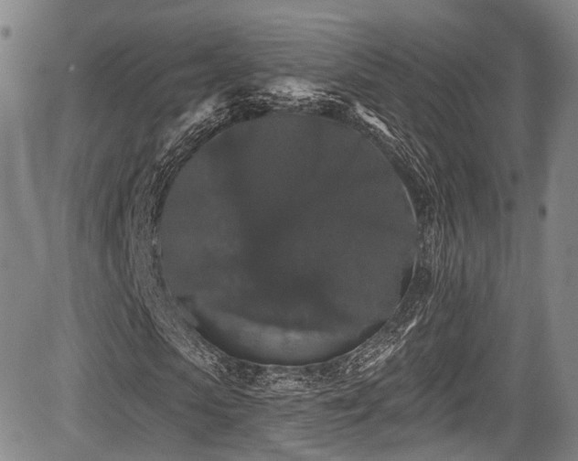 X0000084050913200702161503