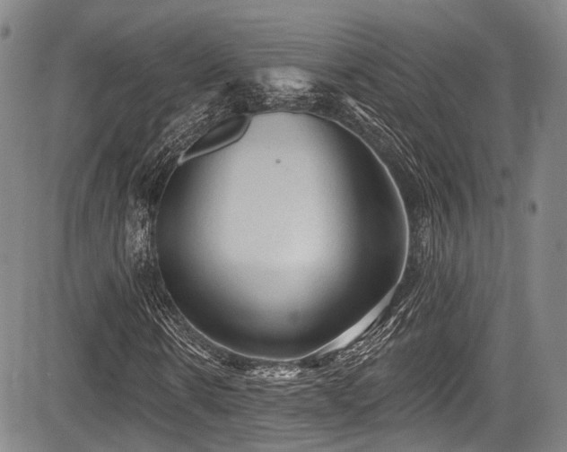 X0000084050914200702161503