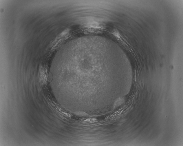 X0000084050915200702161503