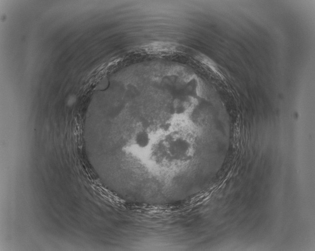 X0000084050917200702161503