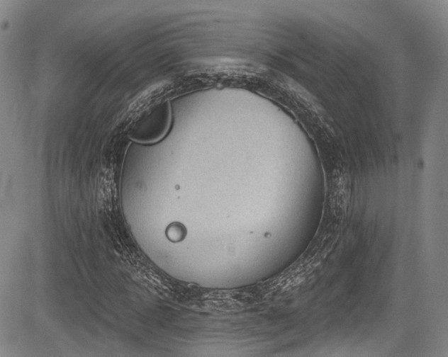 X0000084050918200702161503