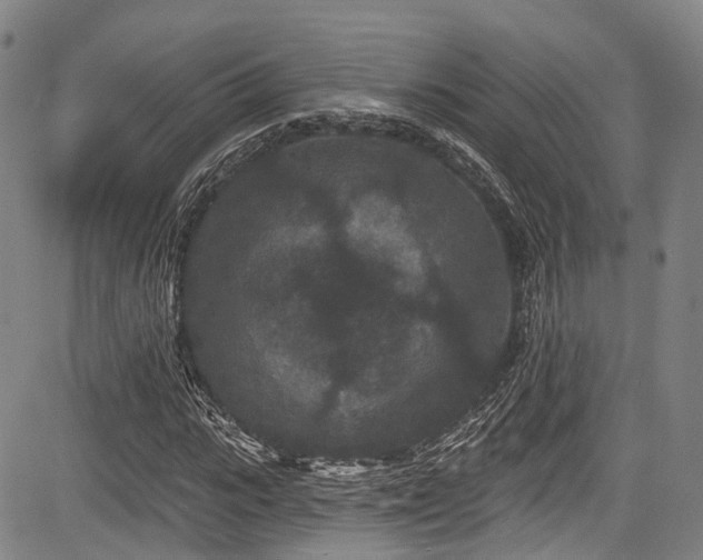 X0000084050919200702161503