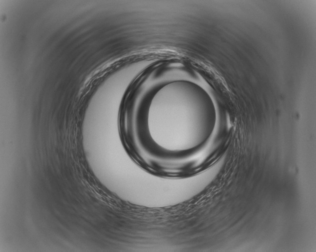 X0000084050920200702161503