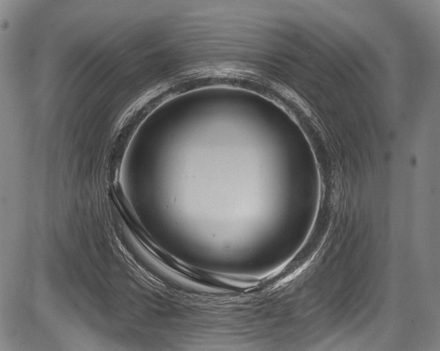 X0000084050922200702161503