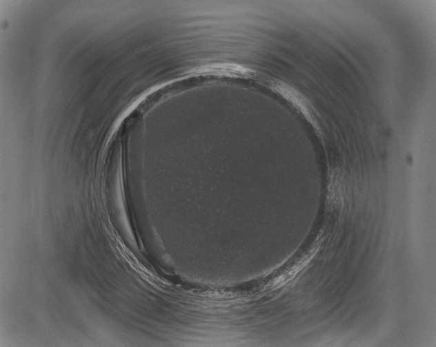 X0000084050923200702161503