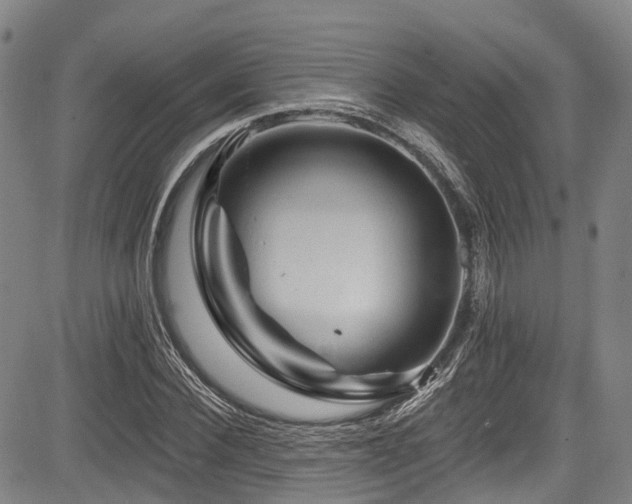 X0000084050924200702161503