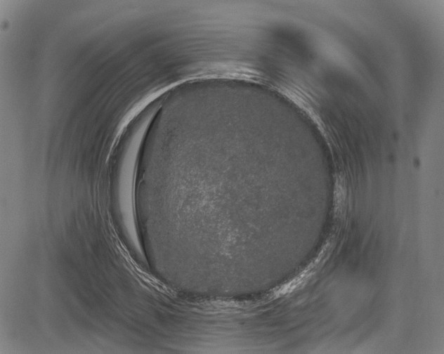 X0000084050925200702161503