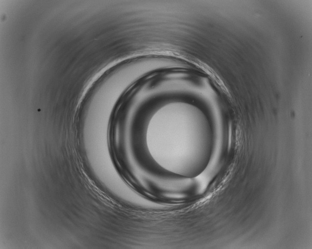 X0000084050926200702161503