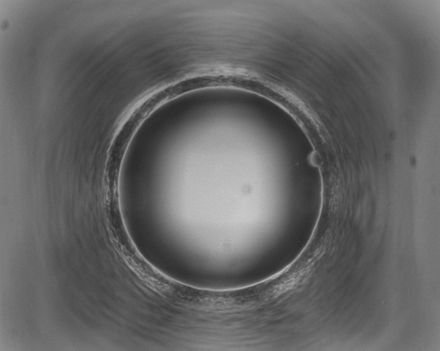 X0000084050927200702161503