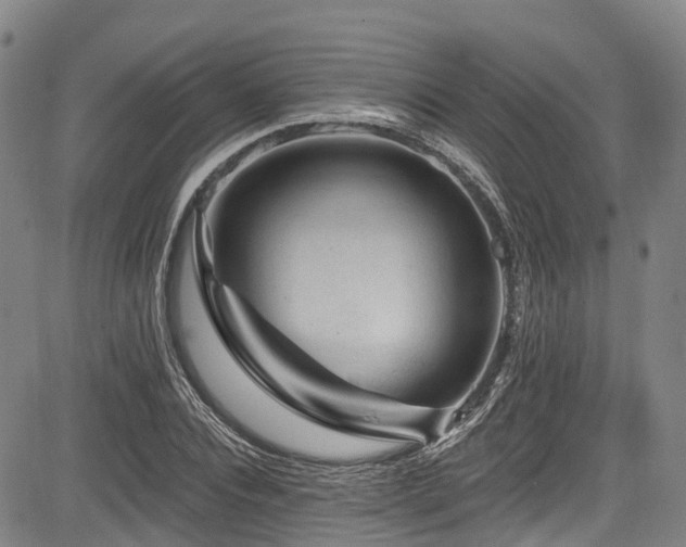 X0000084050928200702161503