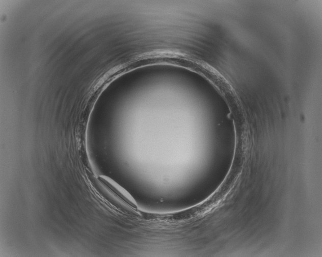 X0000084050929200702161503