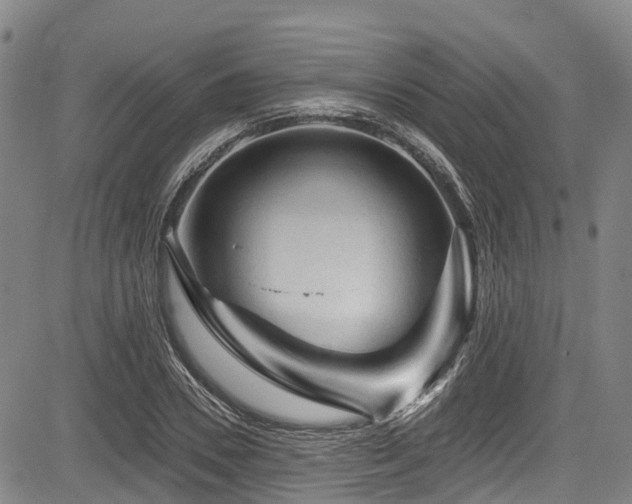 X0000084050930200702161503