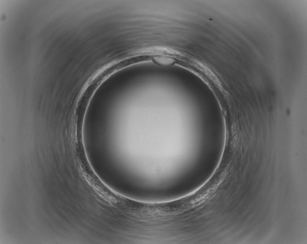 X0000084050931200702161503