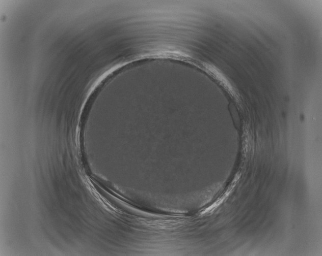 X0000084050932200702161503