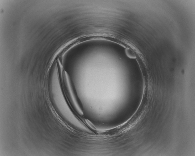 X0000084050933200702161503