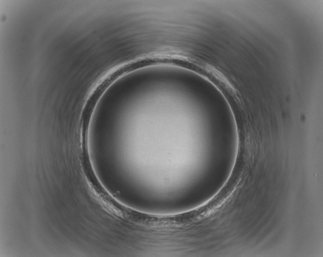 X0000084050934200702161503