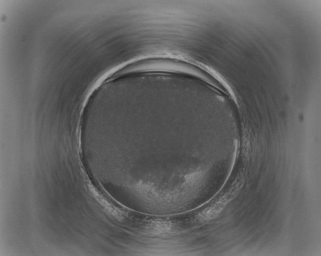 X0000084050935200702161503