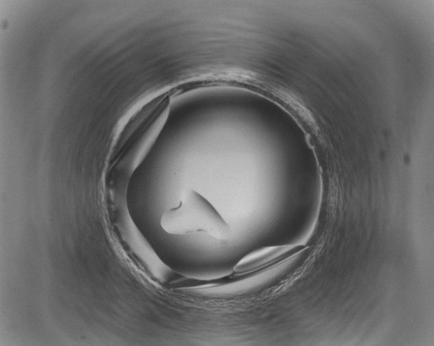 X0000084050936200702161503