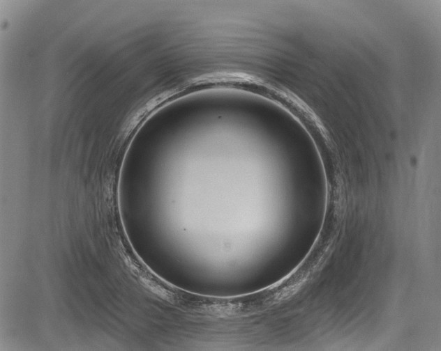 X0000084050937200702161503