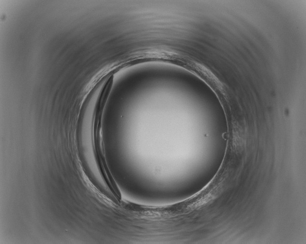 X0000084050938200702161503