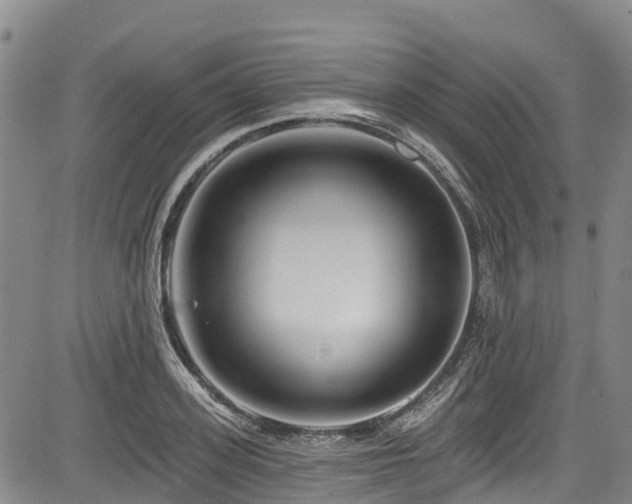 X0000084050939200702161503