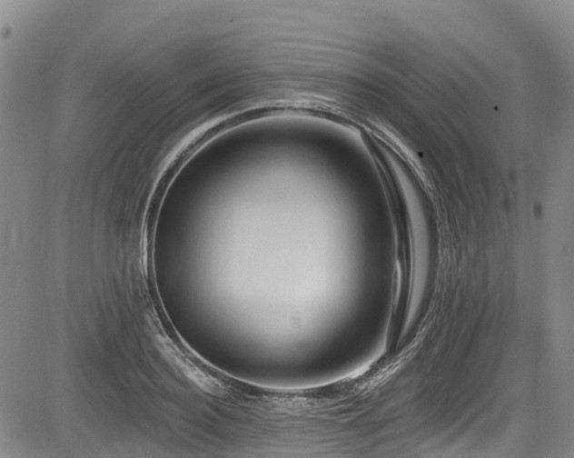 X0000084050940200702161503