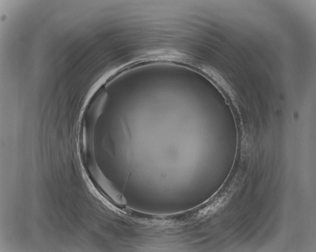 X0000084050941200702161503