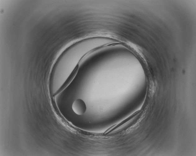 X0000084050942200702161503