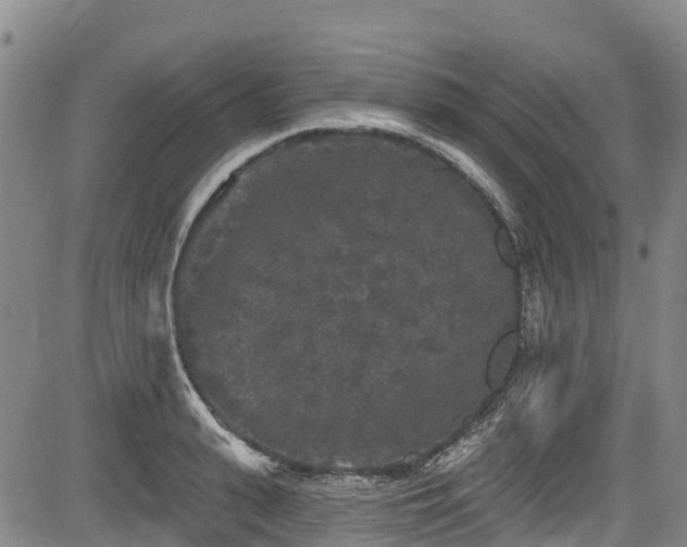 X0000084050943200702161503