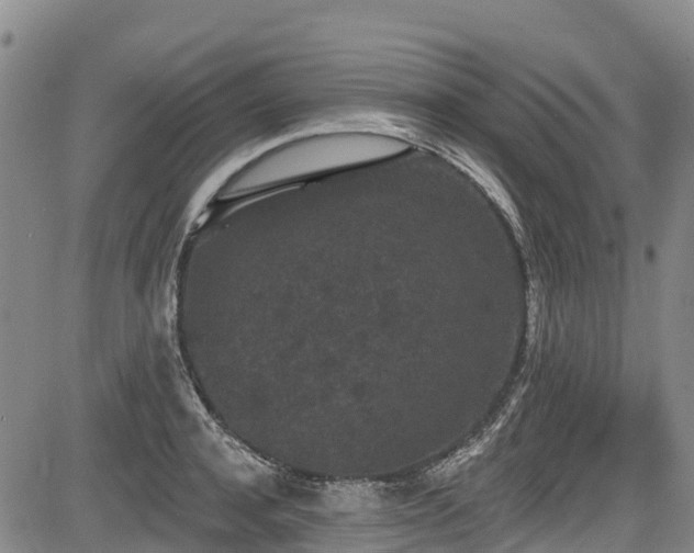 X0000084050944200702161503