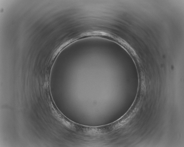 X0000084050945200702161503