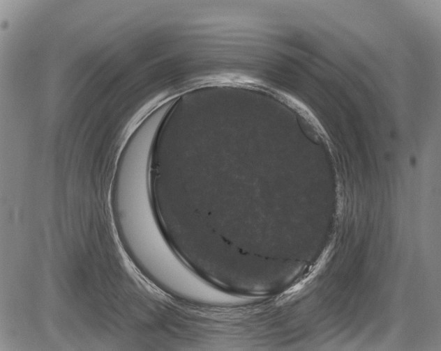 X0000084050946200702161503