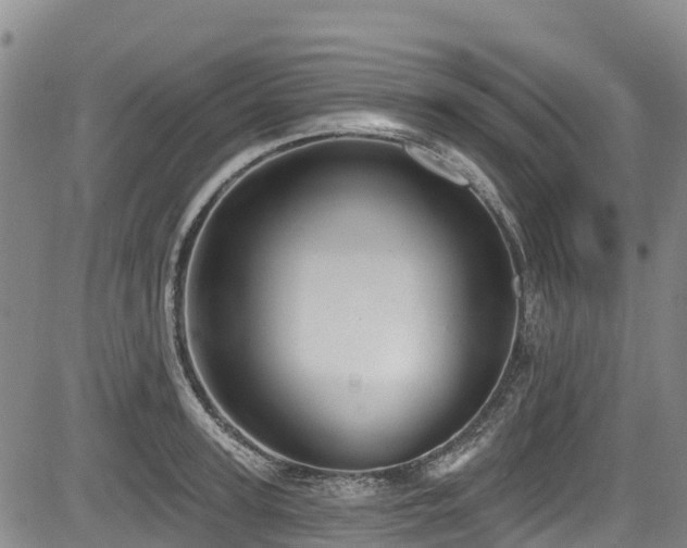 X0000084050947200702161503