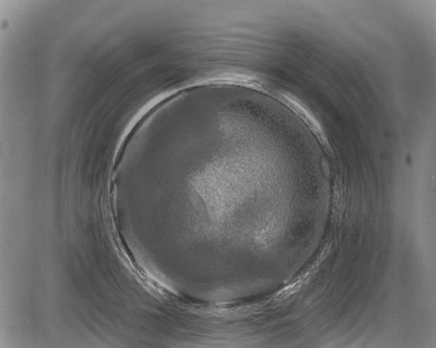 X0000084050948200702161503