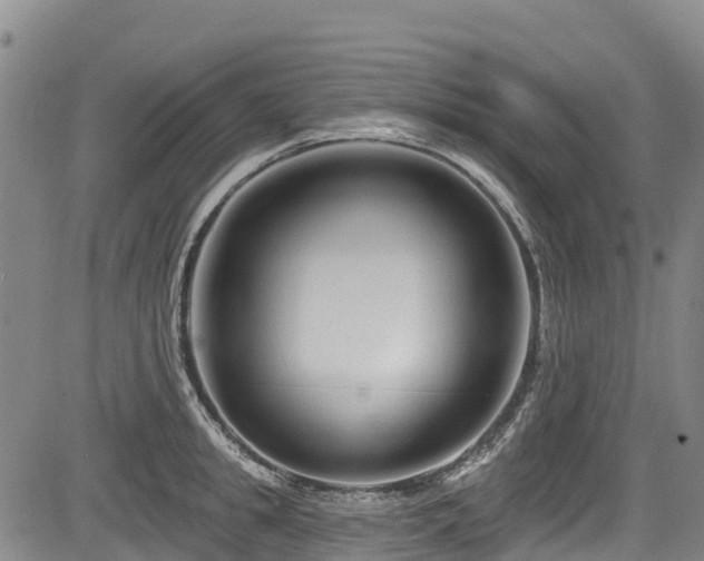 X0000084050949200702161503