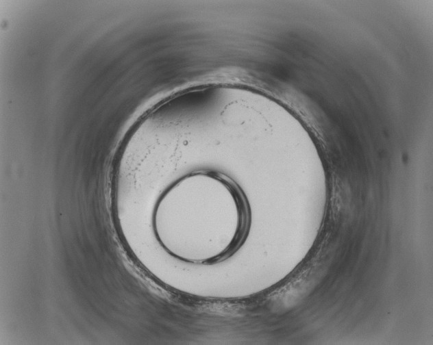 X0000084050950200702161503