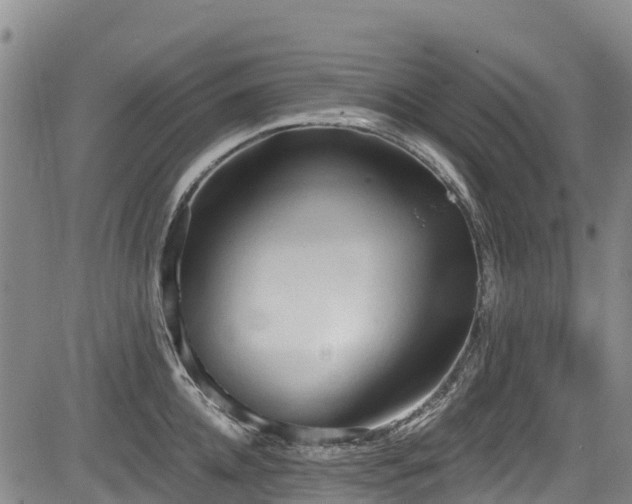 X0000084050952200702161503