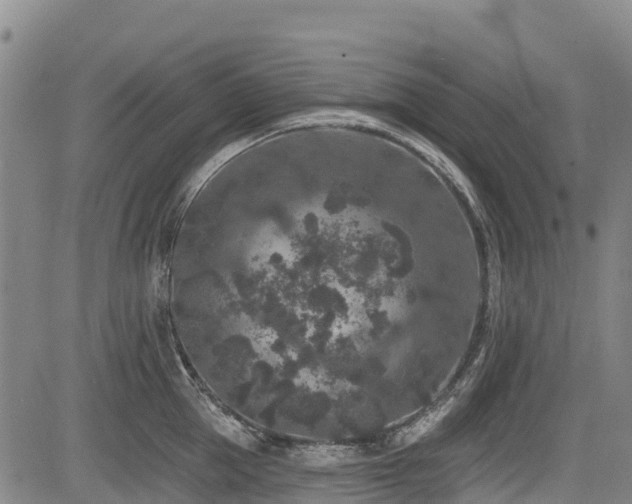 X0000084050953200702161503