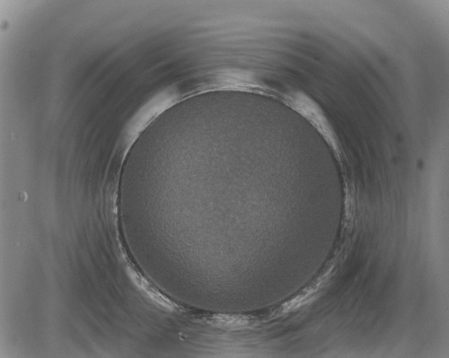 X0000084050954200702161503