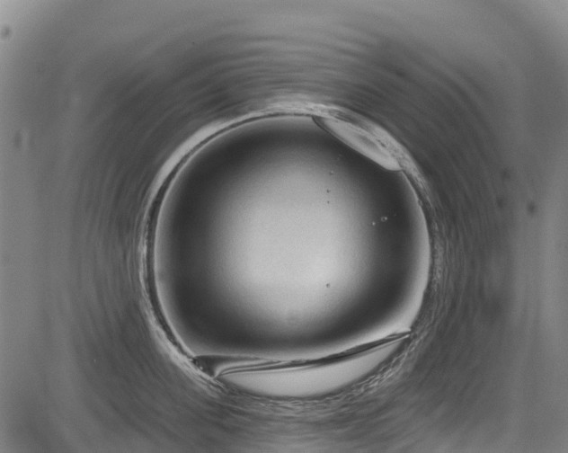 X0000084050955200702161503